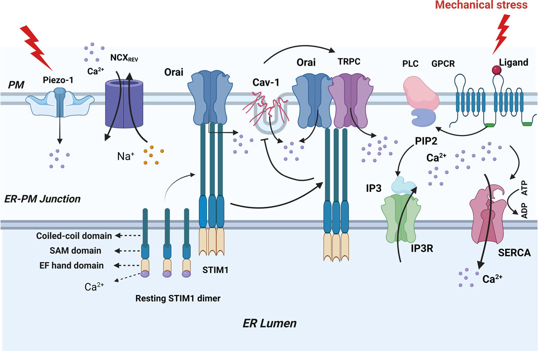 Figure 2.