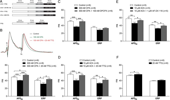 Figure 6