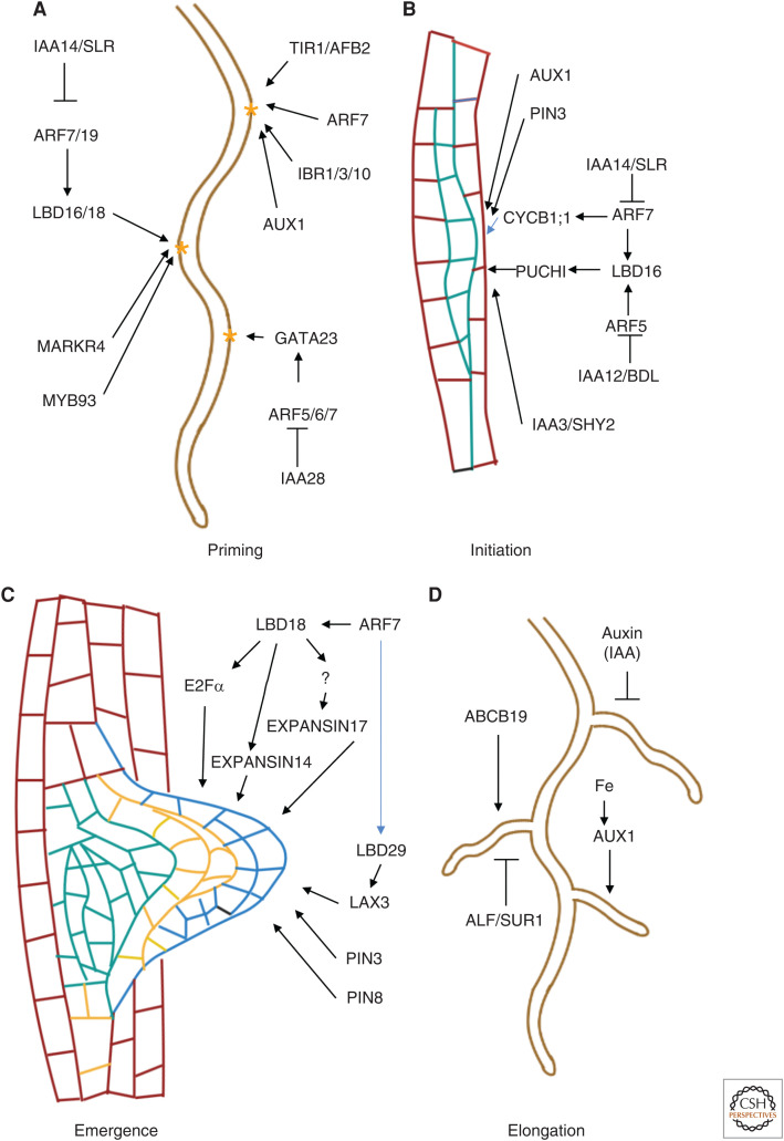 Figure 2.