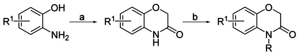 Scheme 2