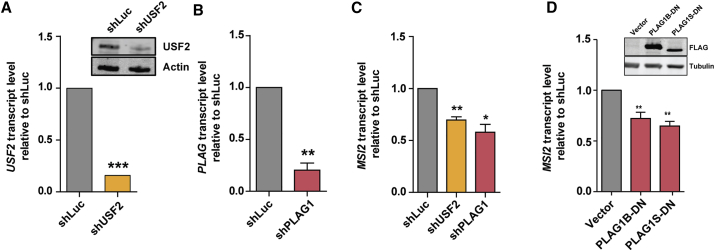 Figure 3