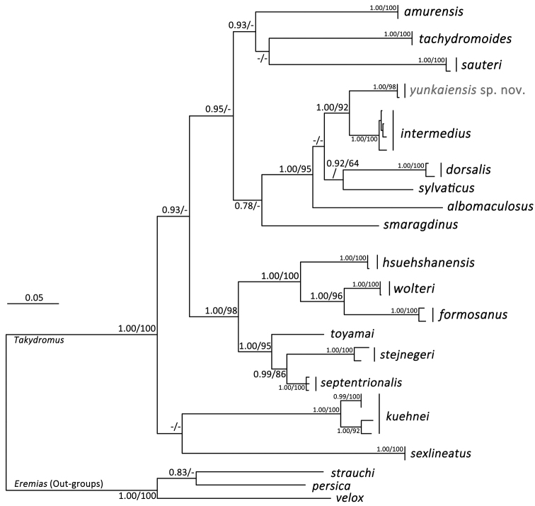 Figure 2.