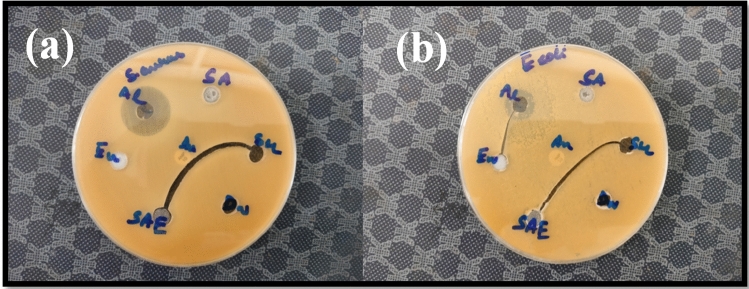 Figure 13