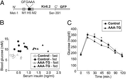 Fig 1.