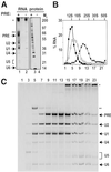 Fig 2.