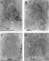 FIG. 4.