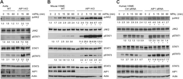 Fig.4