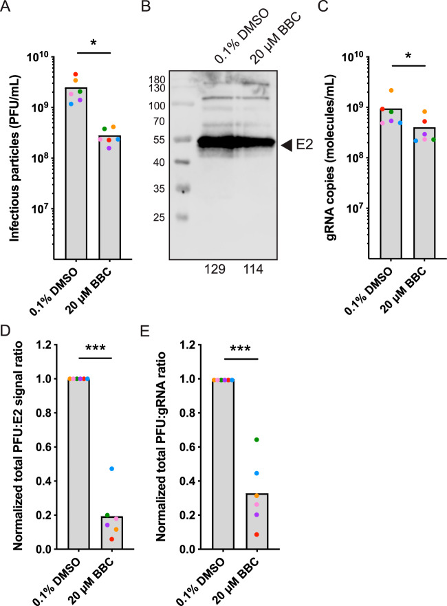 FIG 3