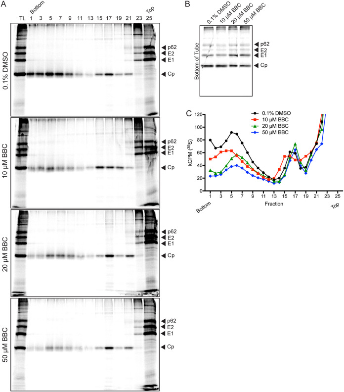 FIG 4