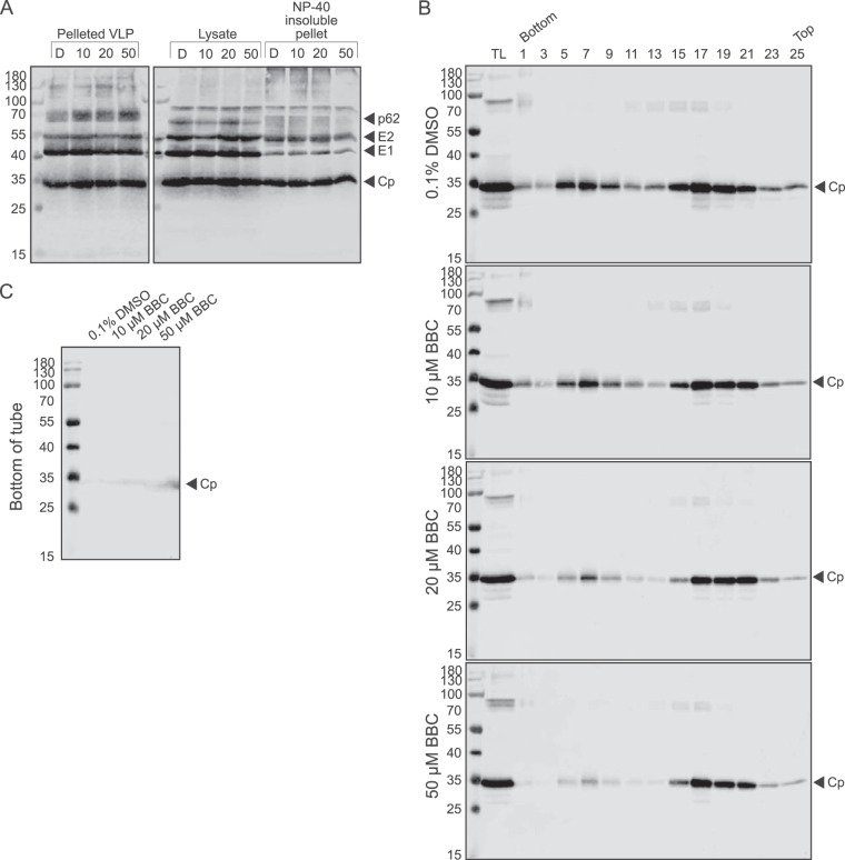 FIG 5