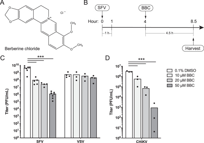 FIG 1