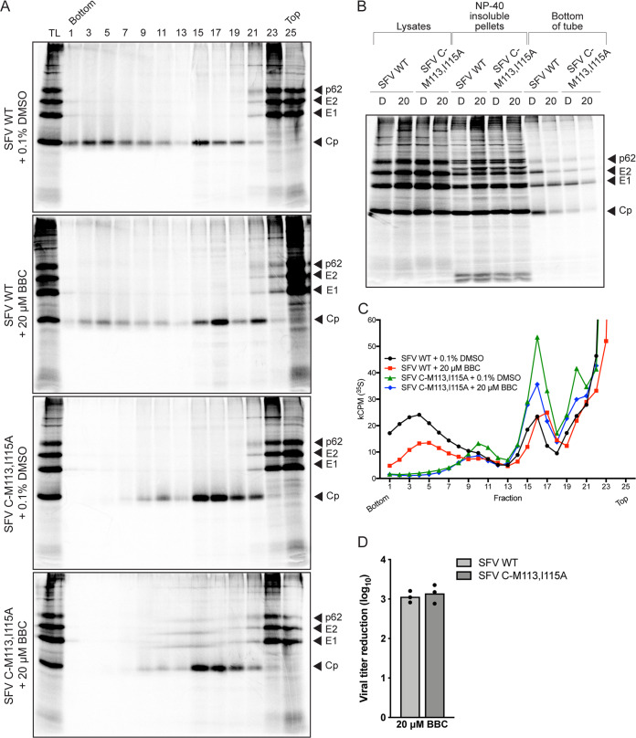 FIG 6