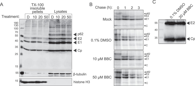 FIG 2