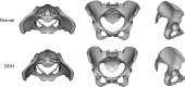 Fig 8