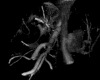Figure 2b