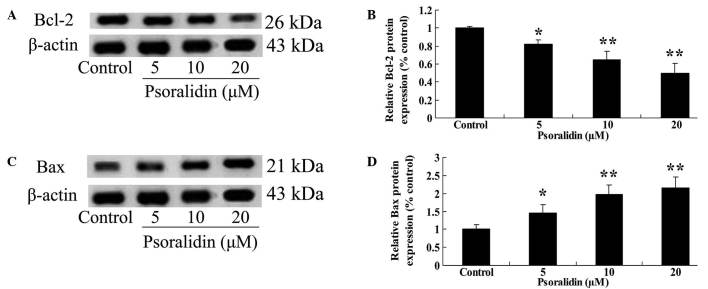 Figure 6.