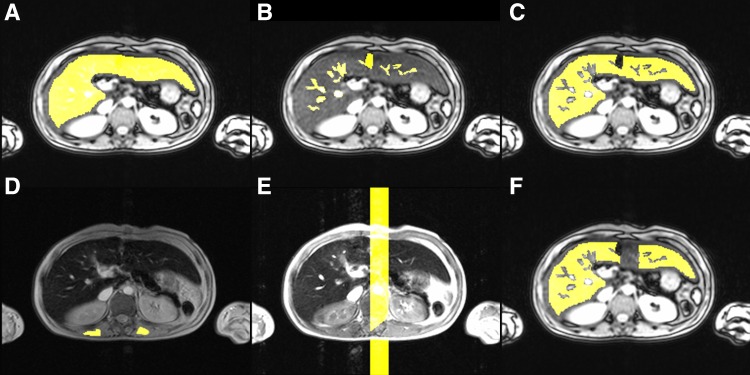 Fig. 1