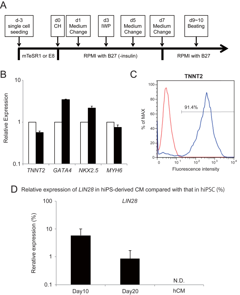 Fig. 2