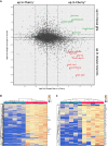 Figure 2—figure supplement 2.
