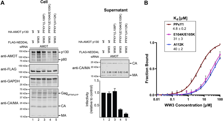 Figure 6