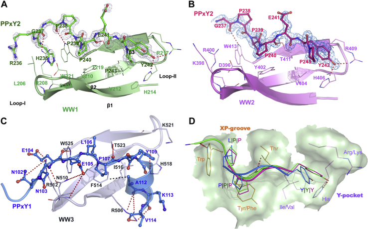 Figure 4