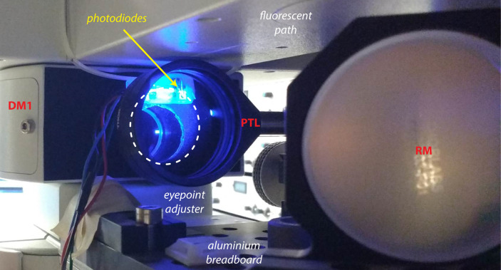 Figure 3.