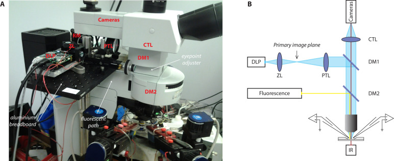 Figure 2.