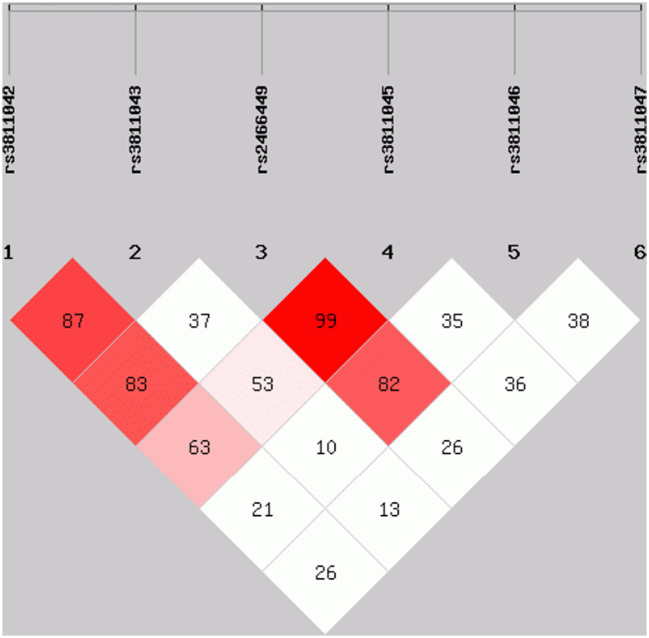 Fig. 2