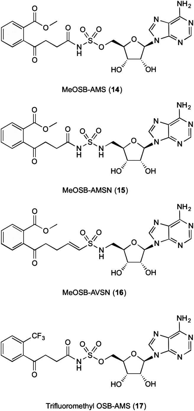 Fig. 3