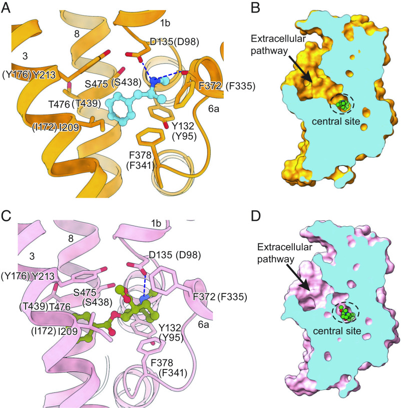 Fig. 3.