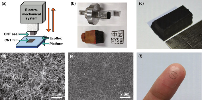 Fig. 1