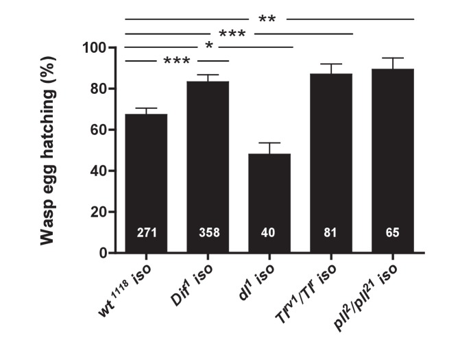 Figure 2—figure supplement 1.