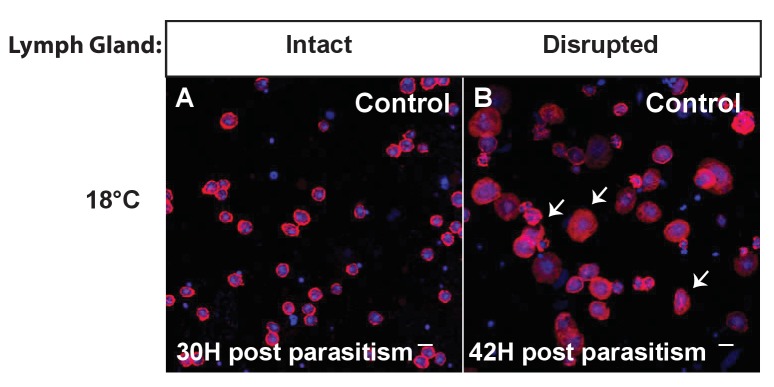 Figure 2—figure supplement 2.