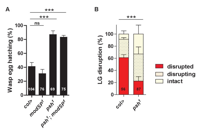 Figure 5—figure supplement 1.