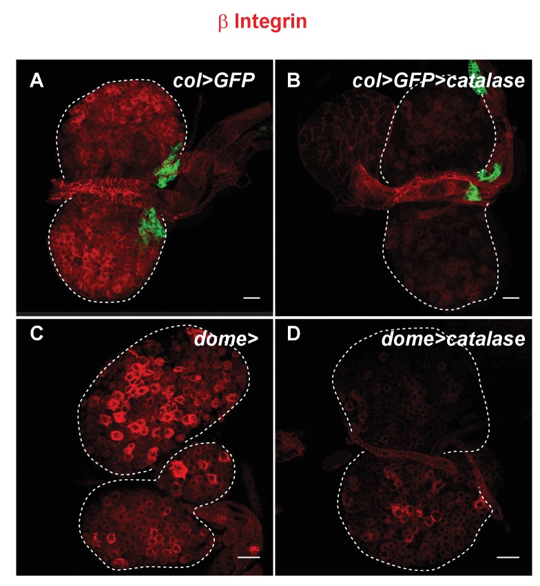 Figure 6—figure supplement 2.