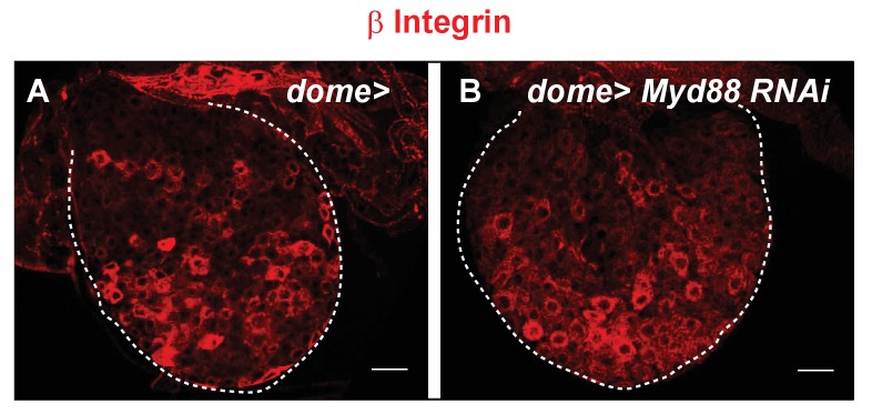 Figure 4—figure supplement 2.