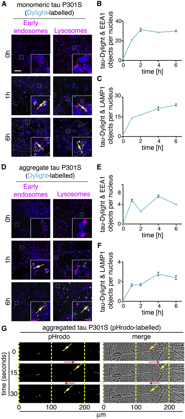 Figure 3