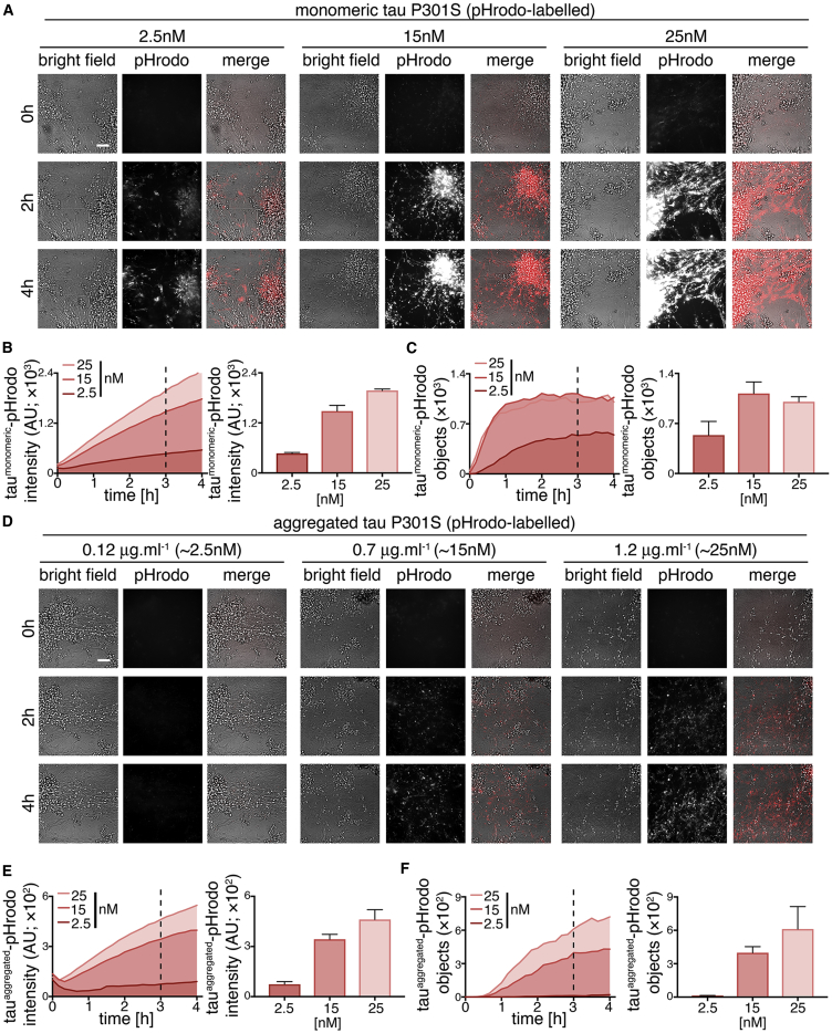 Figure 2