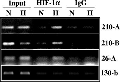 FIG. 6.