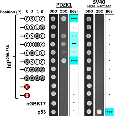 FIGURE 3.