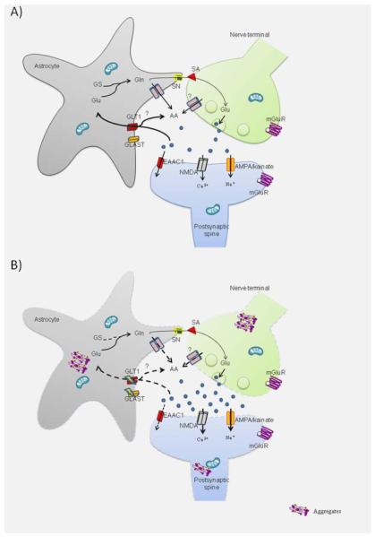 Figure 1A