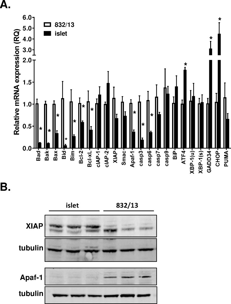 Fig 5