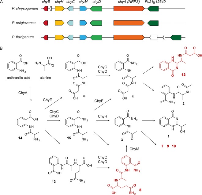 FIG 1