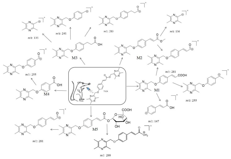 Figure 5