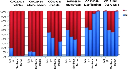 Figure 5.—