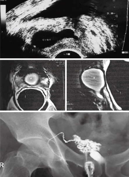 Figure 7