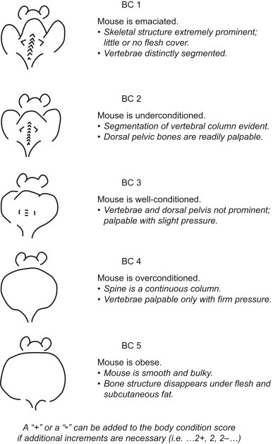 Figure 7.5