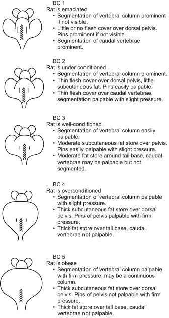 Figure 7.8