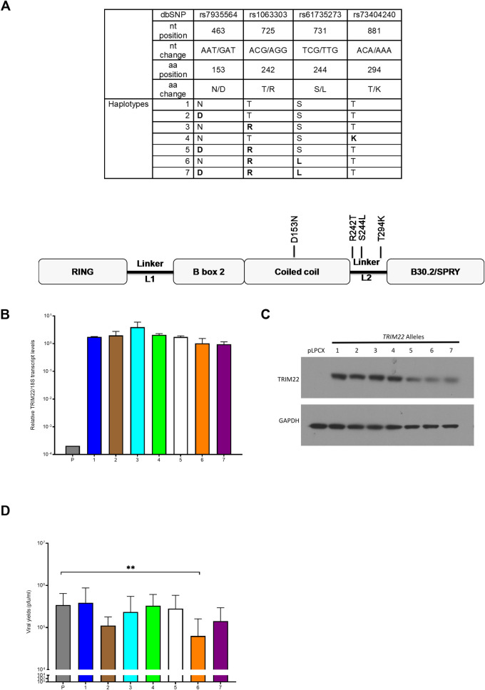 Fig 7