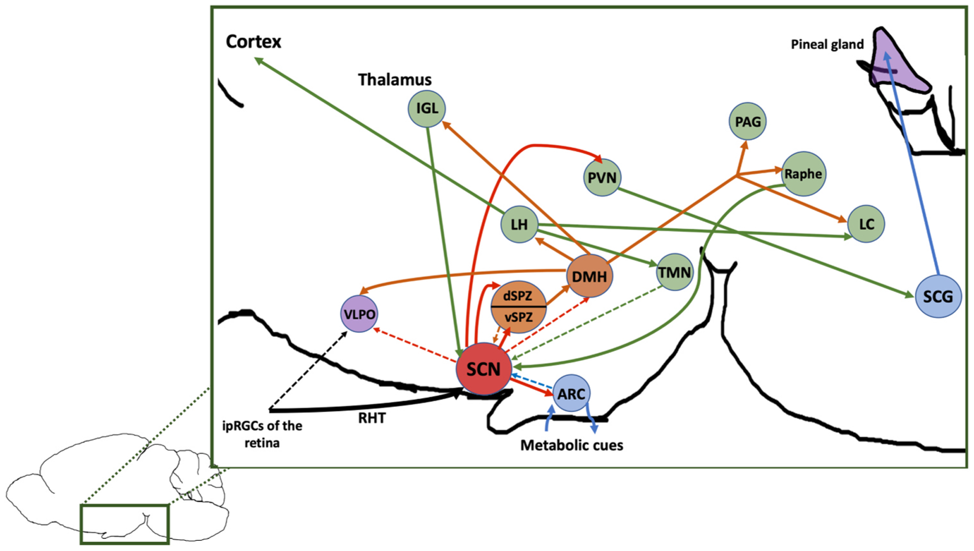 Fig. 1.